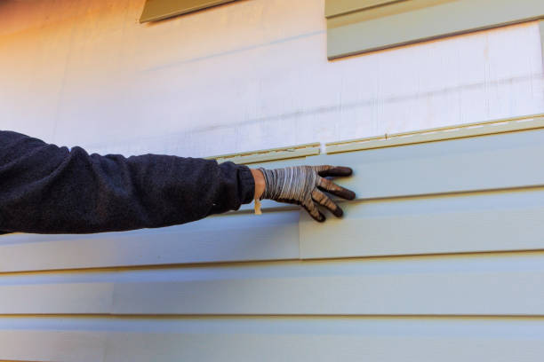 Best Vinyl Siding Installation  in Assumption, IL